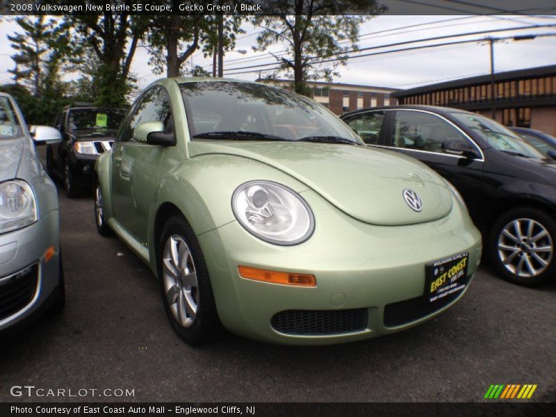 Gecko Green / Black 2008 Volkswagen New Beetle SE Coupe