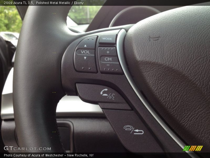 Polished Metal Metallic / Ebony 2009 Acura TL 3.5