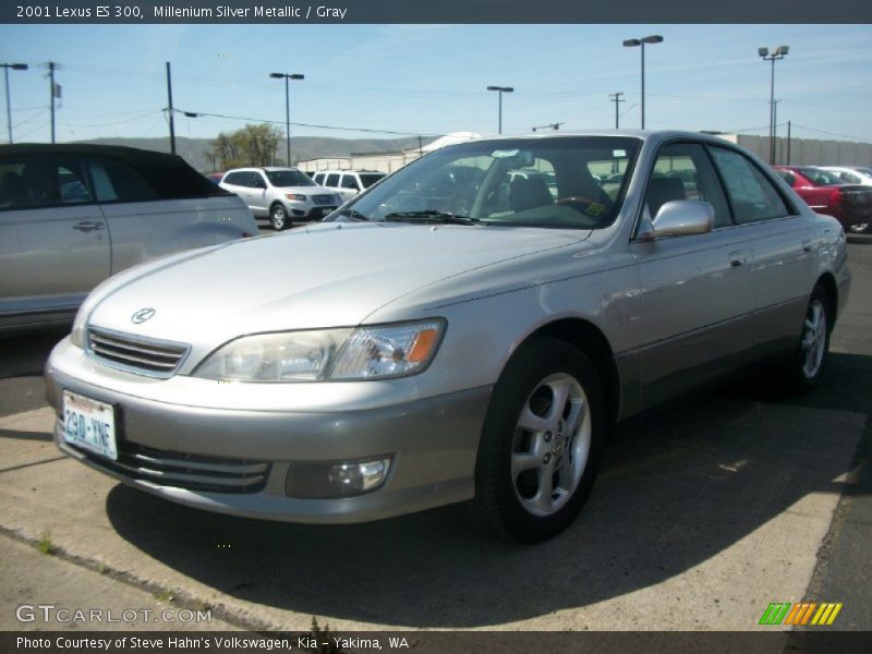 Millenium Silver Metallic / Gray 2001 Lexus ES 300