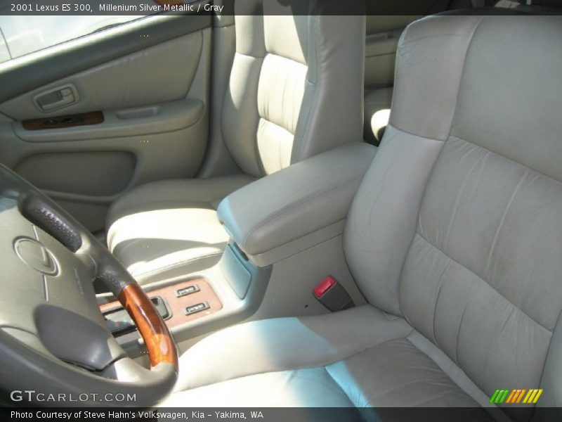 Millenium Silver Metallic / Gray 2001 Lexus ES 300