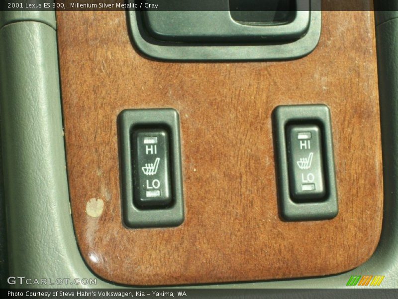 Millenium Silver Metallic / Gray 2001 Lexus ES 300
