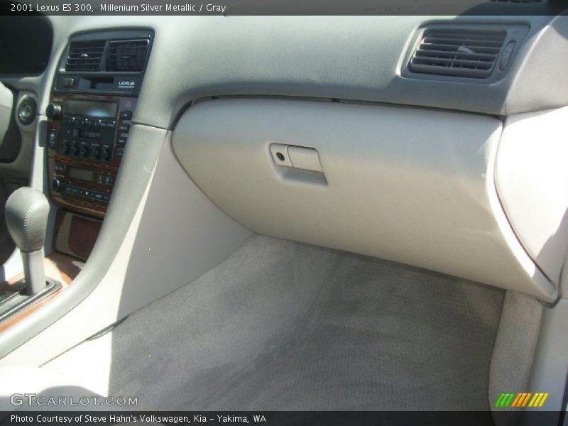Millenium Silver Metallic / Gray 2001 Lexus ES 300