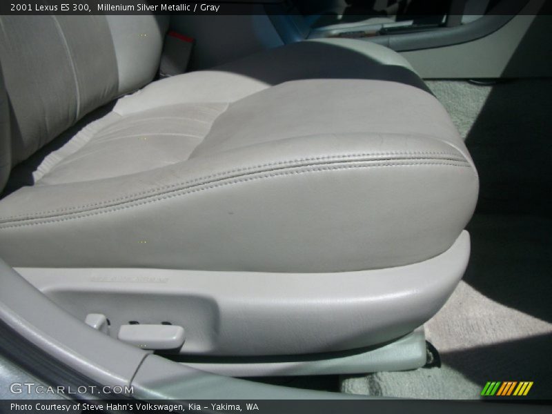 Millenium Silver Metallic / Gray 2001 Lexus ES 300