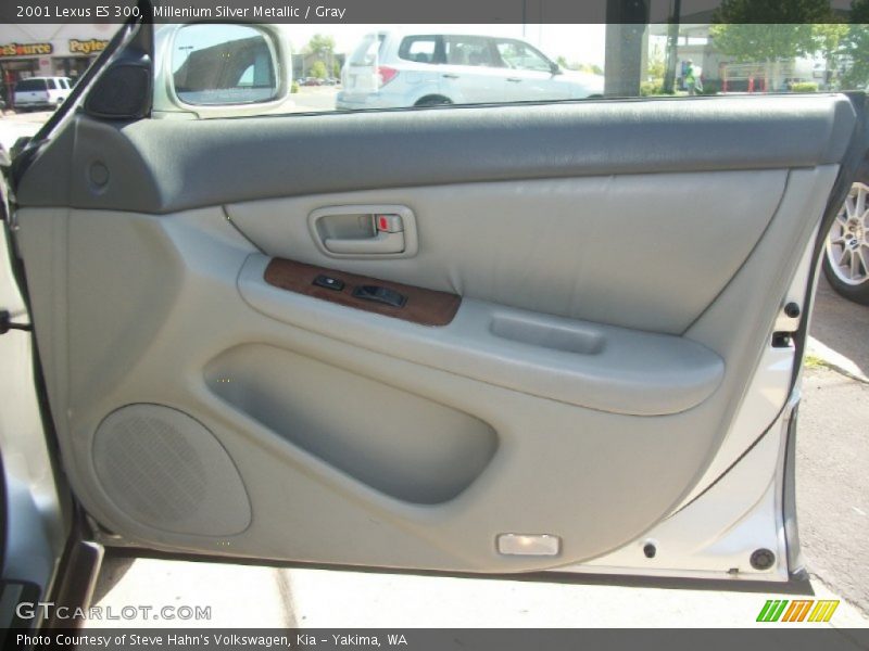 Millenium Silver Metallic / Gray 2001 Lexus ES 300