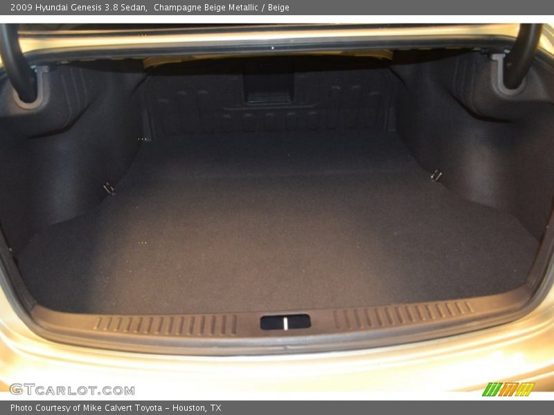 Champagne Beige Metallic / Beige 2009 Hyundai Genesis 3.8 Sedan