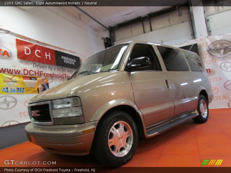 Light Autumnwood Metallic / Neutral 2003 GMC Safari