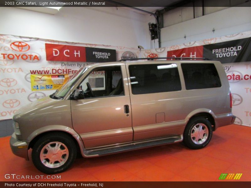 Light Autumnwood Metallic / Neutral 2003 GMC Safari