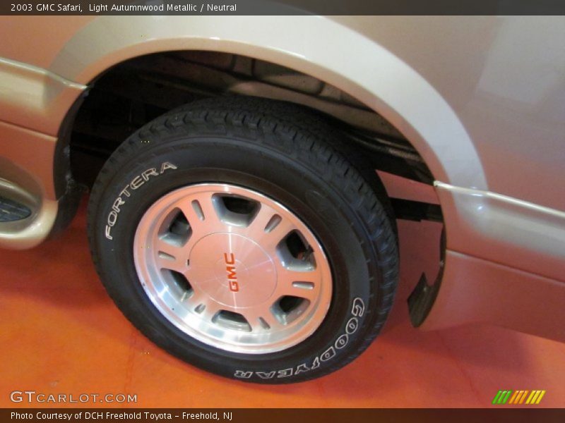 Light Autumnwood Metallic / Neutral 2003 GMC Safari