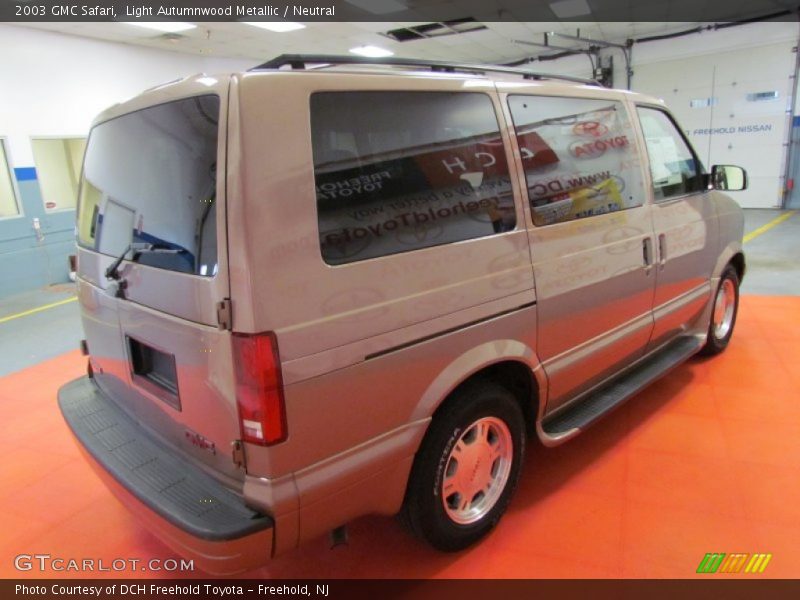 Light Autumnwood Metallic / Neutral 2003 GMC Safari