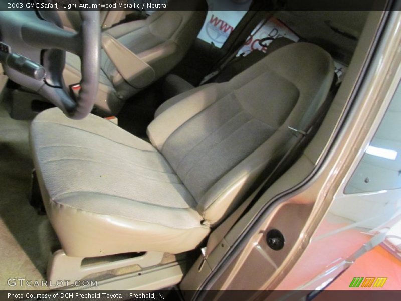 Light Autumnwood Metallic / Neutral 2003 GMC Safari