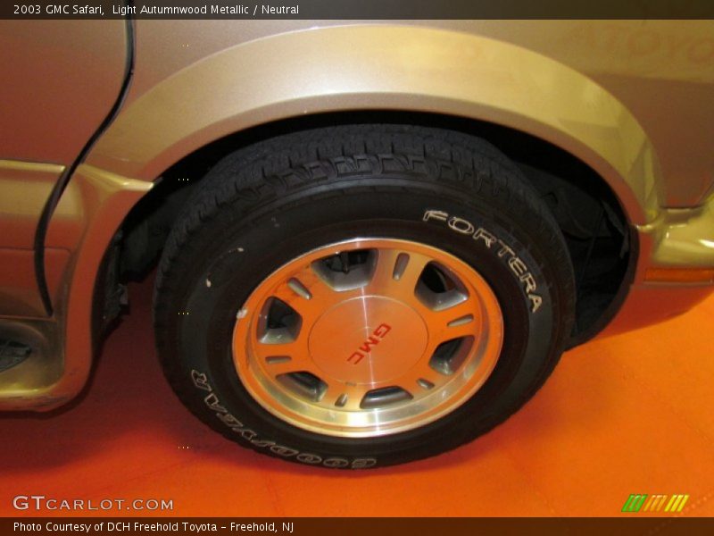 Light Autumnwood Metallic / Neutral 2003 GMC Safari