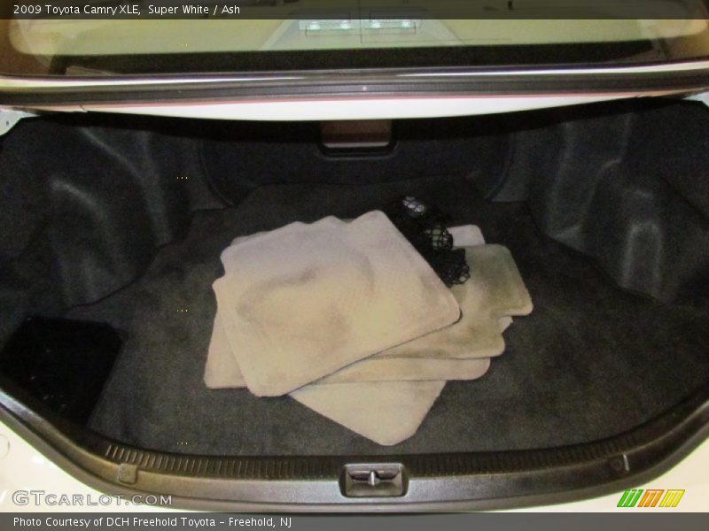 Super White / Ash 2009 Toyota Camry XLE