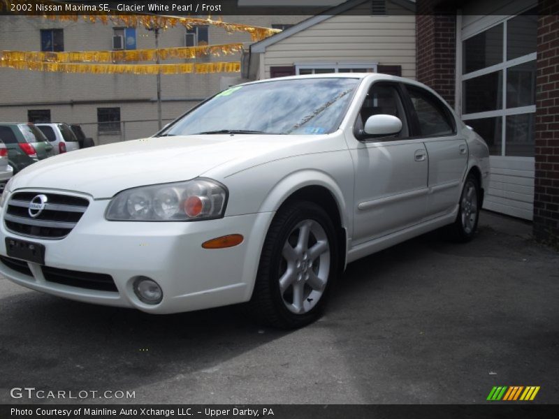 Glacier White Pearl / Frost 2002 Nissan Maxima SE
