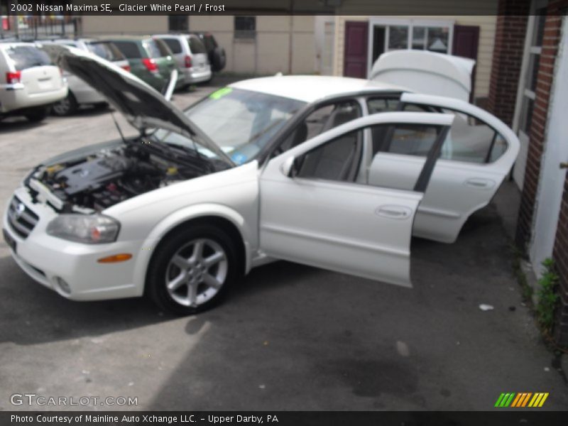 Glacier White Pearl / Frost 2002 Nissan Maxima SE