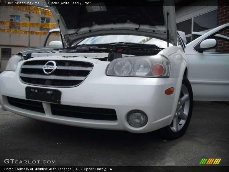 Glacier White Pearl / Frost 2002 Nissan Maxima SE