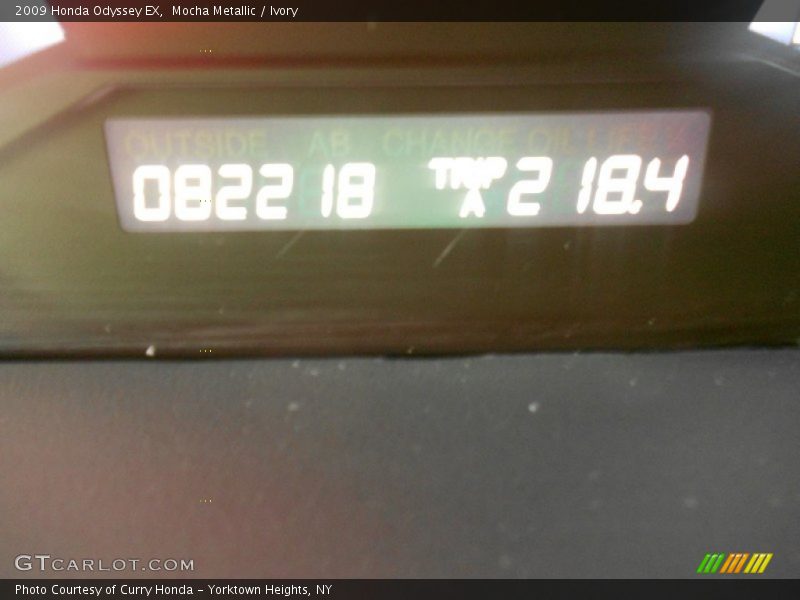 Mocha Metallic / Ivory 2009 Honda Odyssey EX