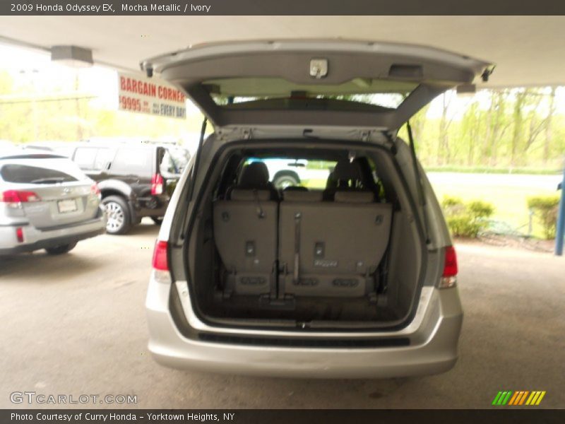 Mocha Metallic / Ivory 2009 Honda Odyssey EX