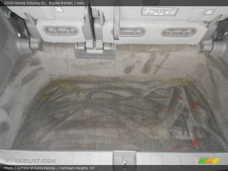 Mocha Metallic / Ivory 2009 Honda Odyssey EX