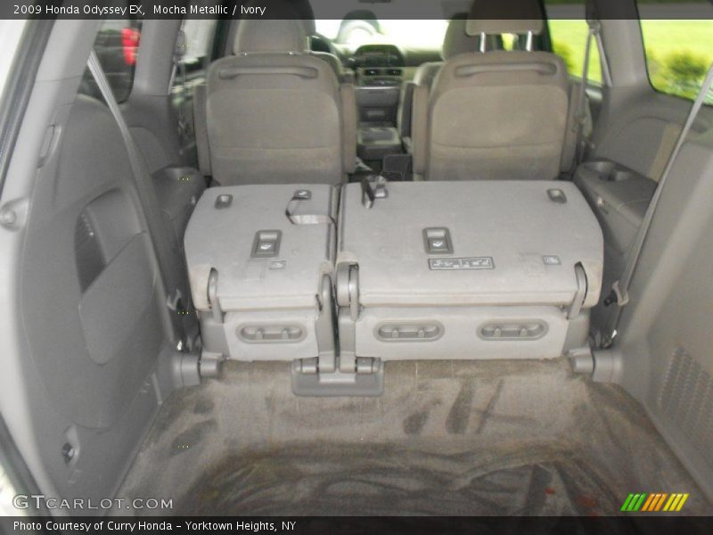 Mocha Metallic / Ivory 2009 Honda Odyssey EX