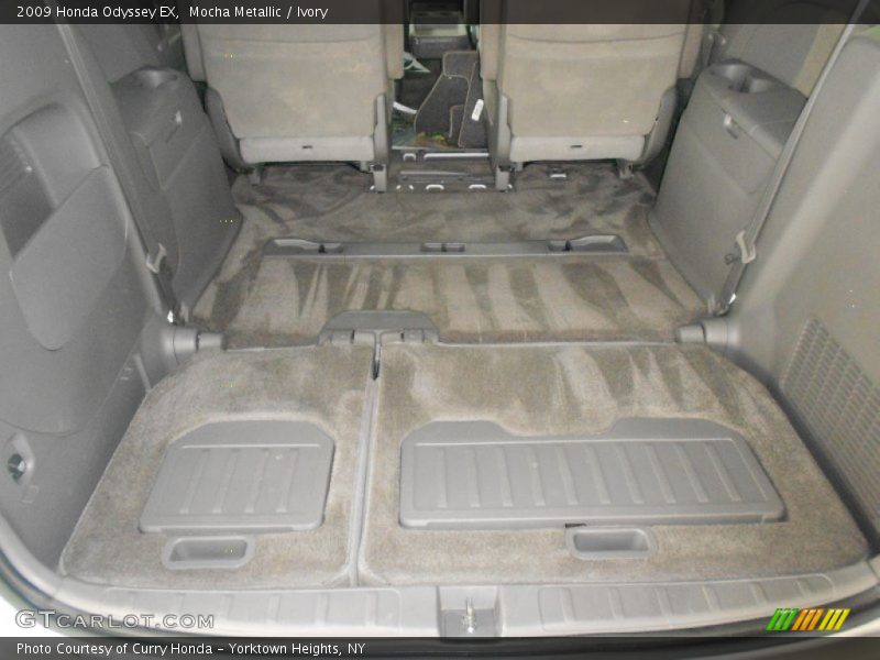 Mocha Metallic / Ivory 2009 Honda Odyssey EX