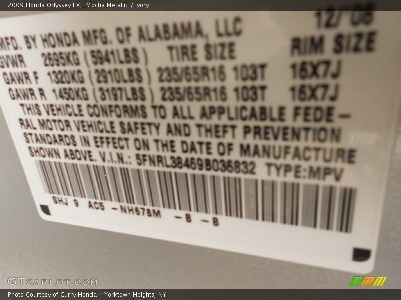 Mocha Metallic / Ivory 2009 Honda Odyssey EX
