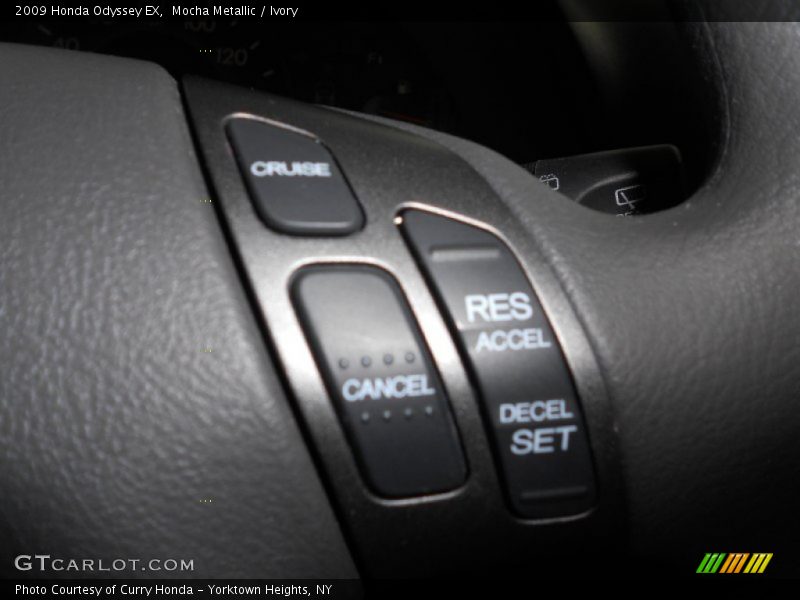 Mocha Metallic / Ivory 2009 Honda Odyssey EX