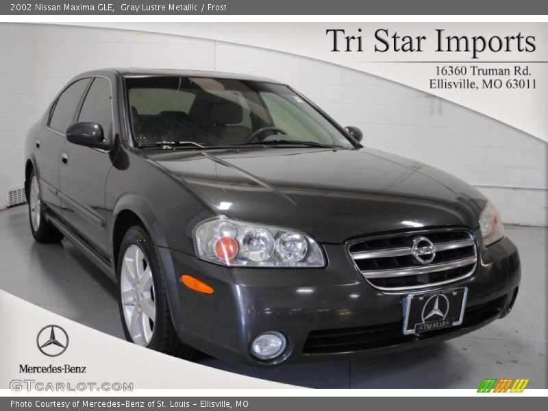 Gray Lustre Metallic / Frost 2002 Nissan Maxima GLE