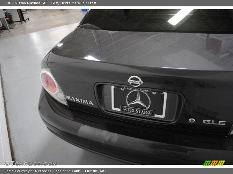 Gray Lustre Metallic / Frost 2002 Nissan Maxima GLE
