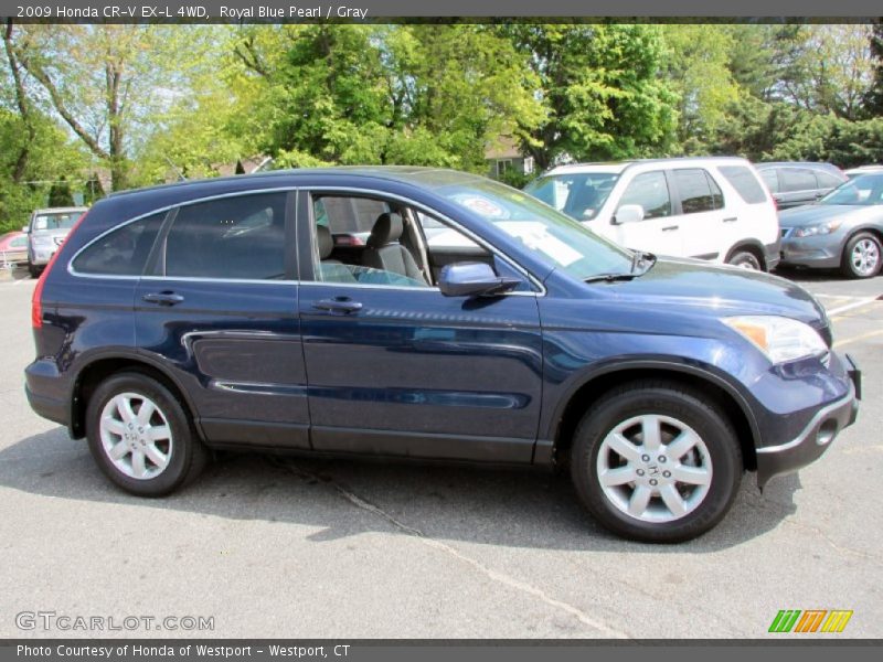 Royal Blue Pearl / Gray 2009 Honda CR-V EX-L 4WD