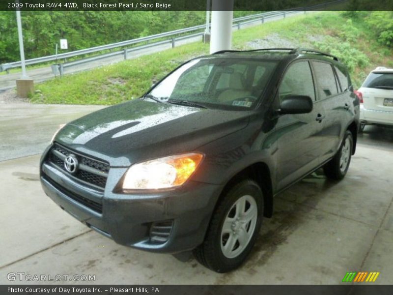 Black Forest Pearl / Sand Beige 2009 Toyota RAV4 4WD