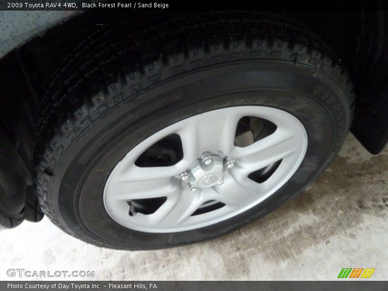 Black Forest Pearl / Sand Beige 2009 Toyota RAV4 4WD