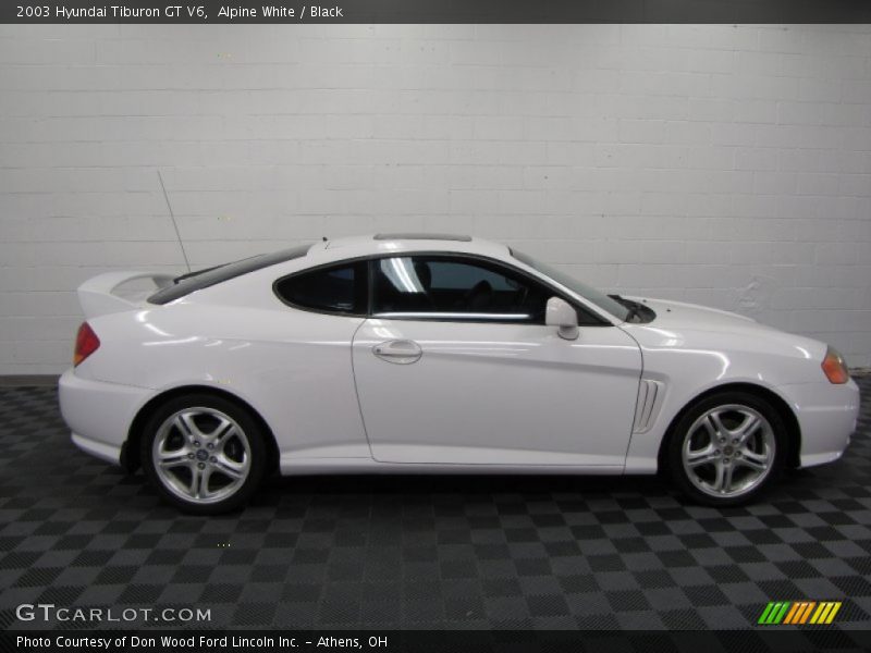 Alpine White / Black 2003 Hyundai Tiburon GT V6