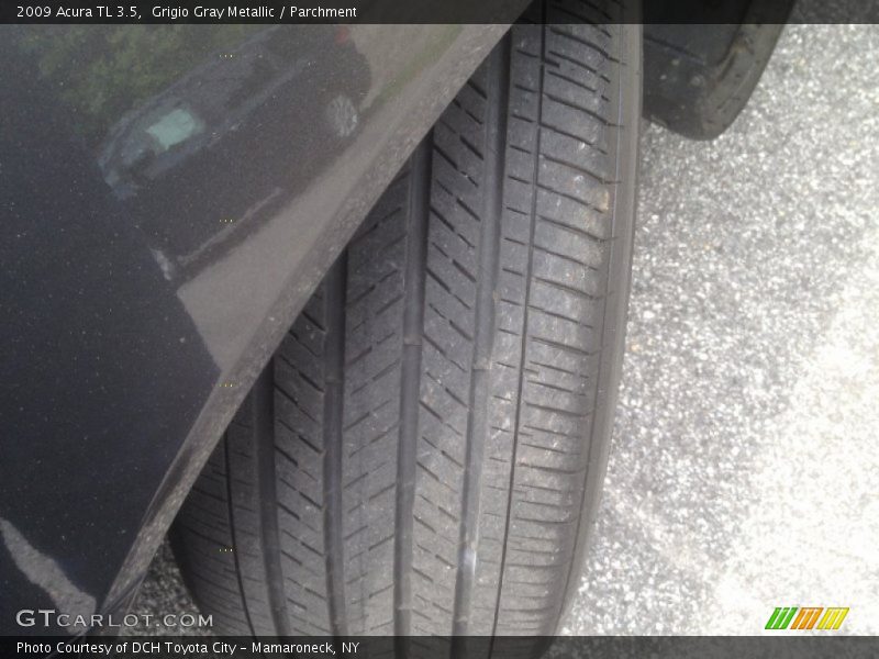 Grigio Gray Metallic / Parchment 2009 Acura TL 3.5