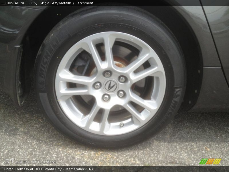 Grigio Gray Metallic / Parchment 2009 Acura TL 3.5