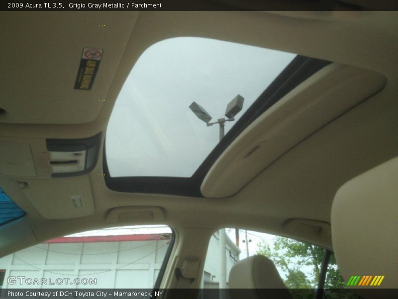 Grigio Gray Metallic / Parchment 2009 Acura TL 3.5