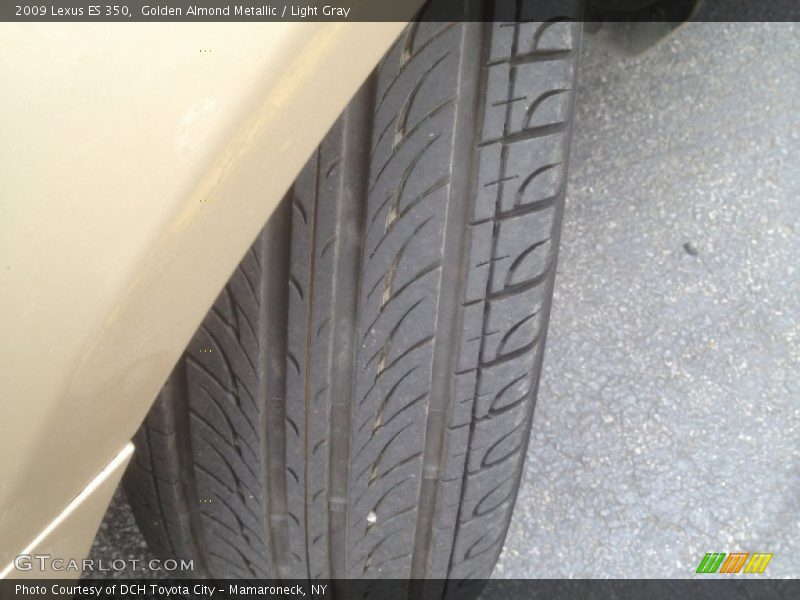 Golden Almond Metallic / Light Gray 2009 Lexus ES 350