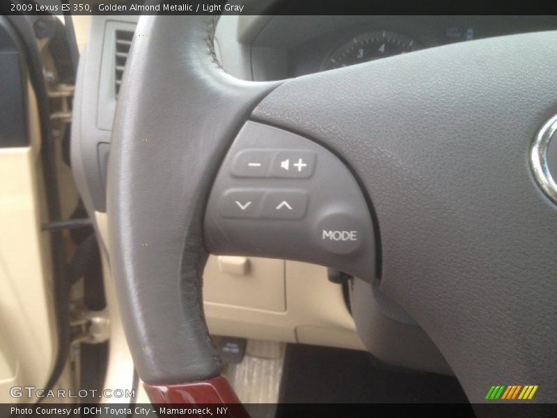 Golden Almond Metallic / Light Gray 2009 Lexus ES 350