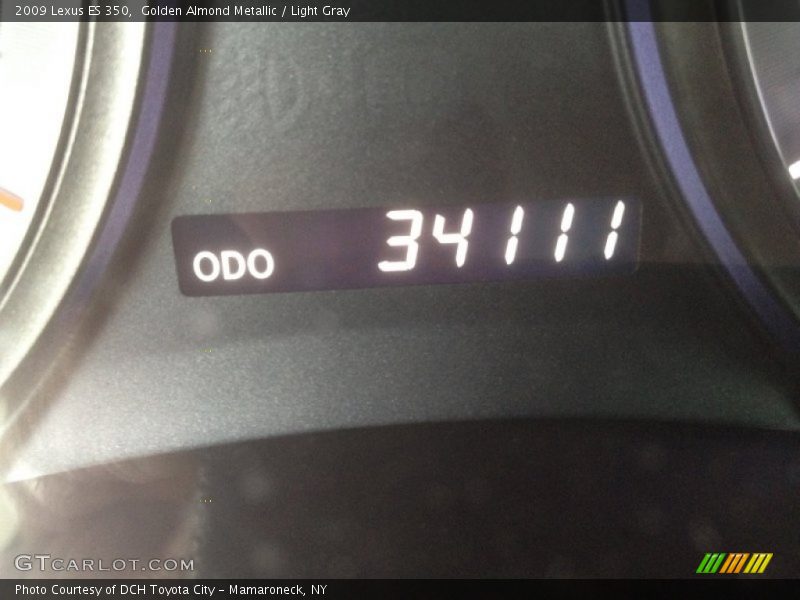 Golden Almond Metallic / Light Gray 2009 Lexus ES 350
