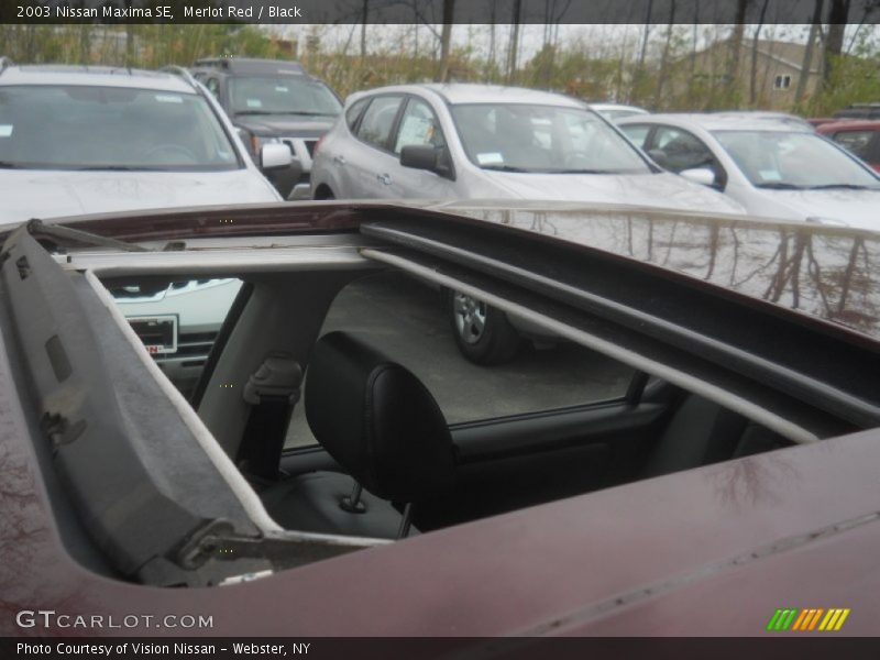 Merlot Red / Black 2003 Nissan Maxima SE