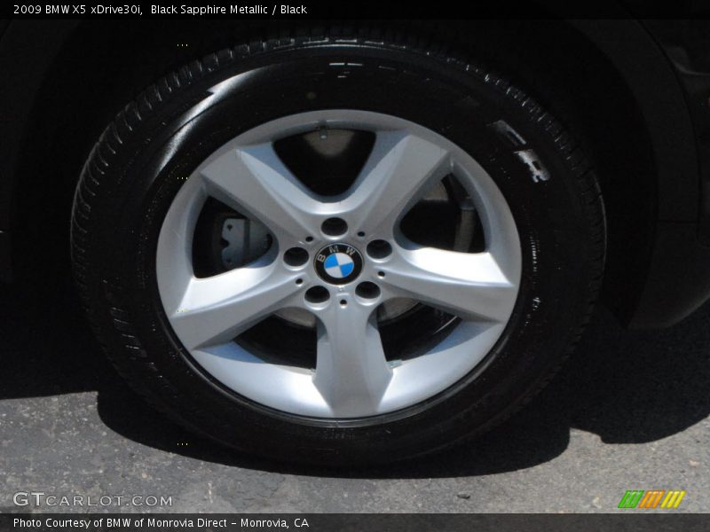 Black Sapphire Metallic / Black 2009 BMW X5 xDrive30i