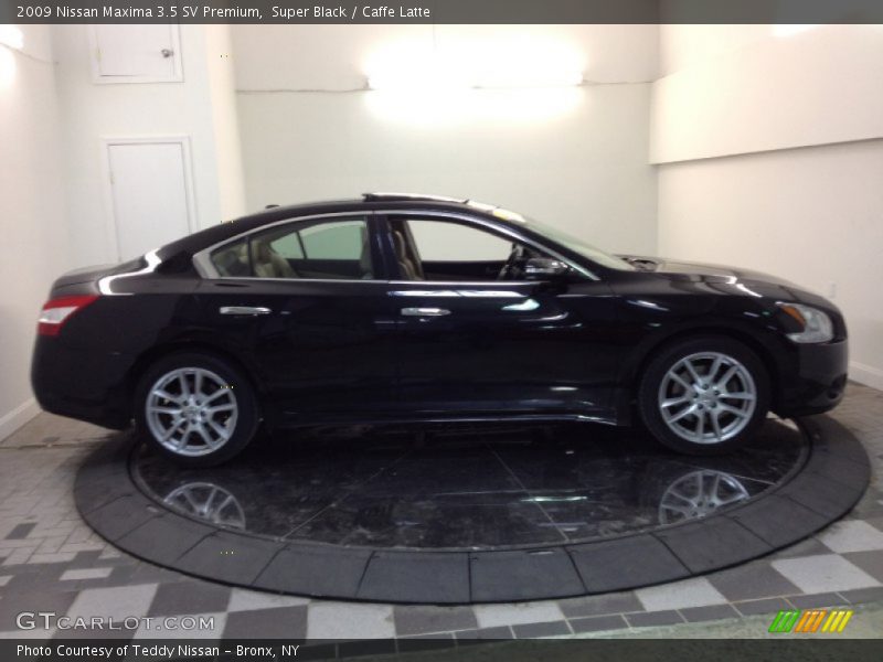 Super Black / Caffe Latte 2009 Nissan Maxima 3.5 SV Premium