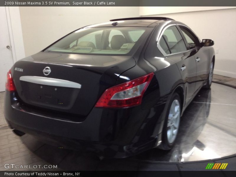 Super Black / Caffe Latte 2009 Nissan Maxima 3.5 SV Premium