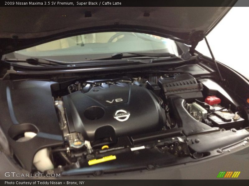 Super Black / Caffe Latte 2009 Nissan Maxima 3.5 SV Premium
