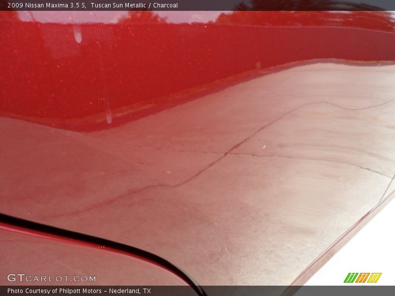 Tuscan Sun Metallic / Charcoal 2009 Nissan Maxima 3.5 S