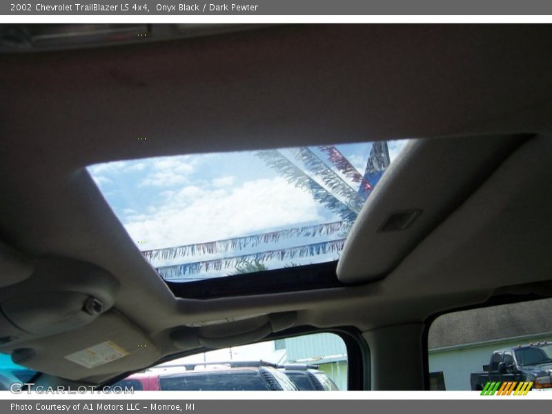 Onyx Black / Dark Pewter 2002 Chevrolet TrailBlazer LS 4x4