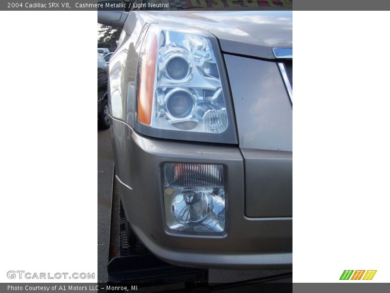 Cashmere Metallic / Light Neutral 2004 Cadillac SRX V8