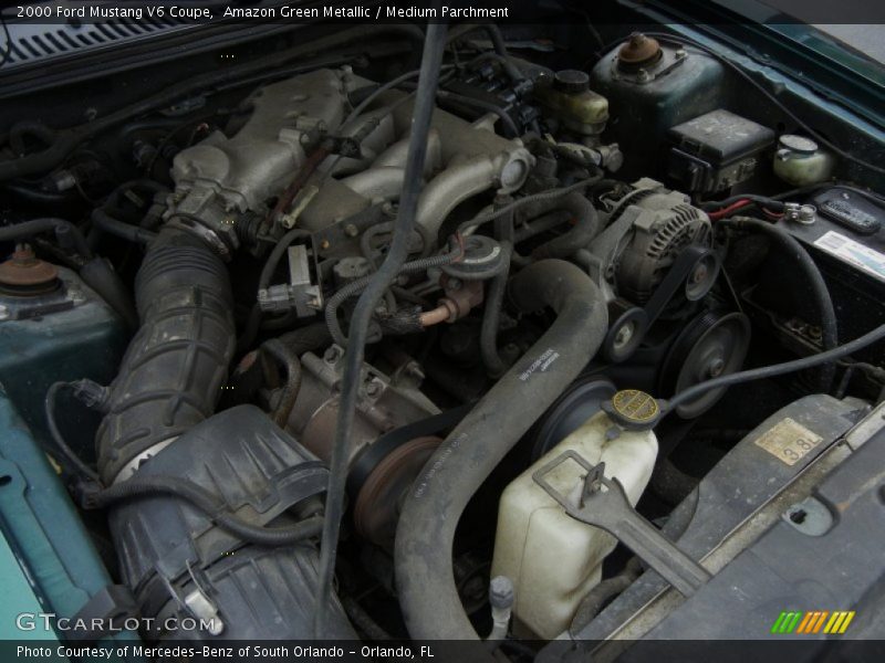 Amazon Green Metallic / Medium Parchment 2000 Ford Mustang V6 Coupe