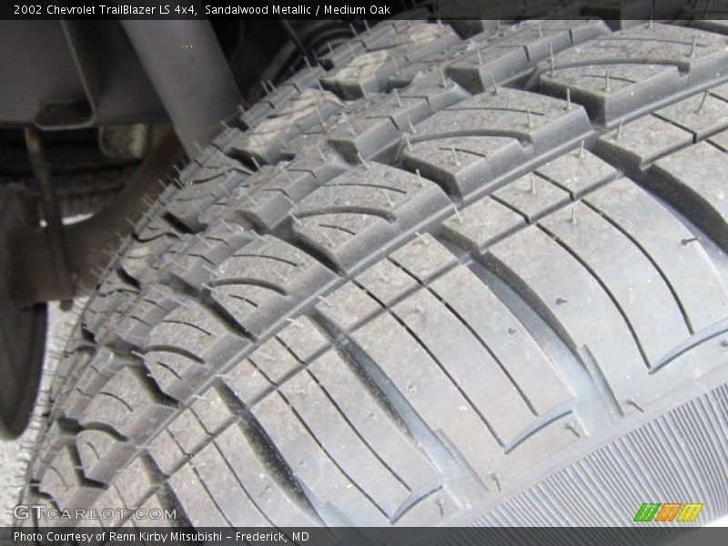 Sandalwood Metallic / Medium Oak 2002 Chevrolet TrailBlazer LS 4x4