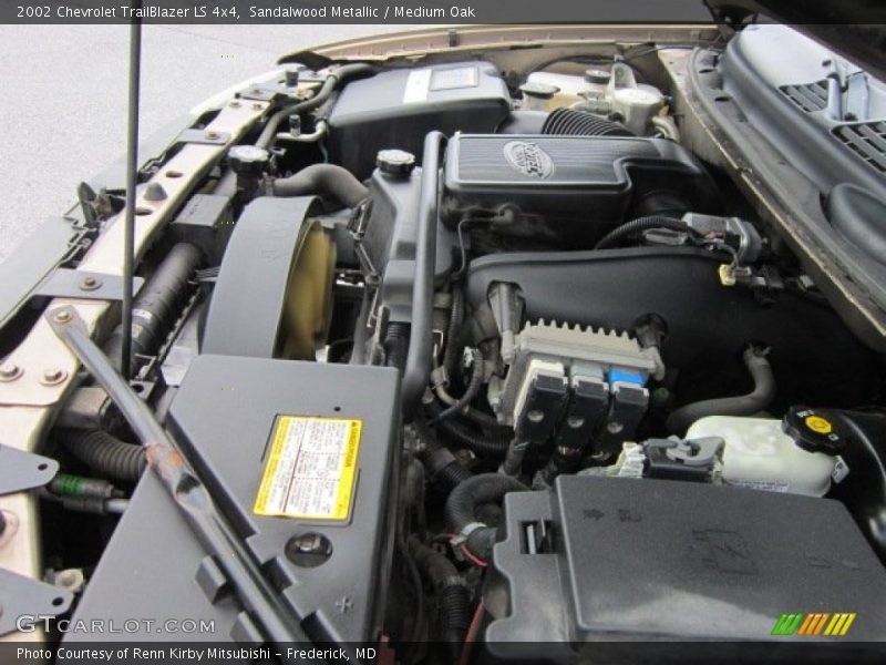 Sandalwood Metallic / Medium Oak 2002 Chevrolet TrailBlazer LS 4x4