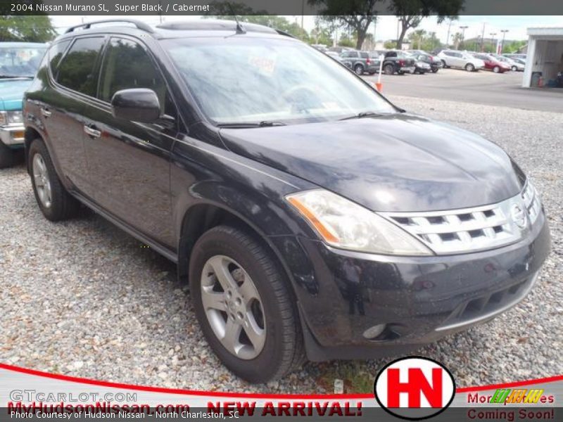 Super Black / Cabernet 2004 Nissan Murano SL